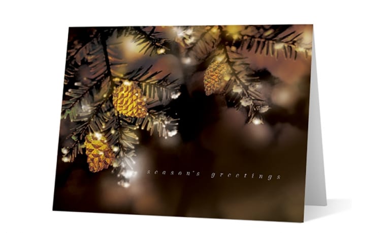 Pine Boughs