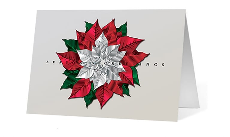 Seasonal Poinsettia
