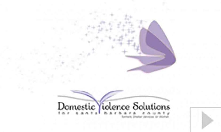 Domestic Violence Solutions