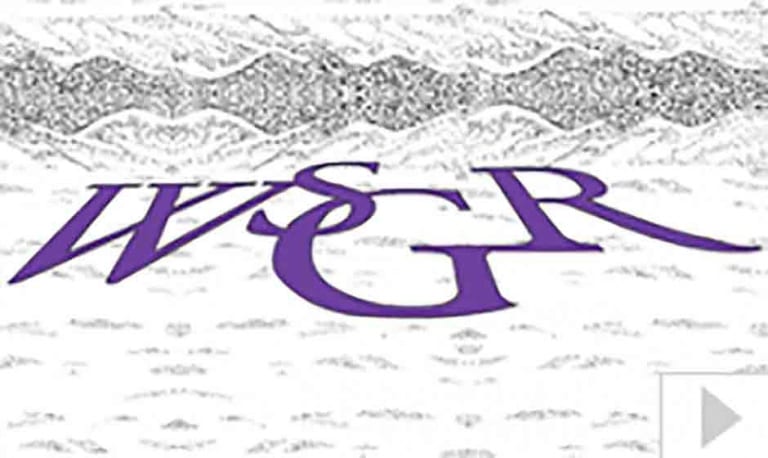 WSGR (2013)
