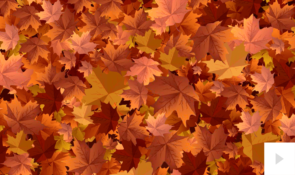 Autumn Breeze