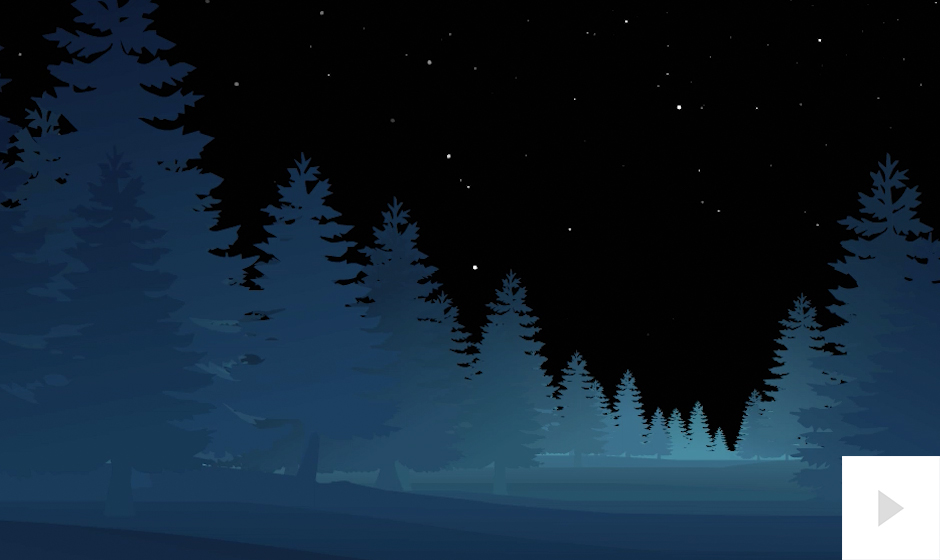 Forest Night