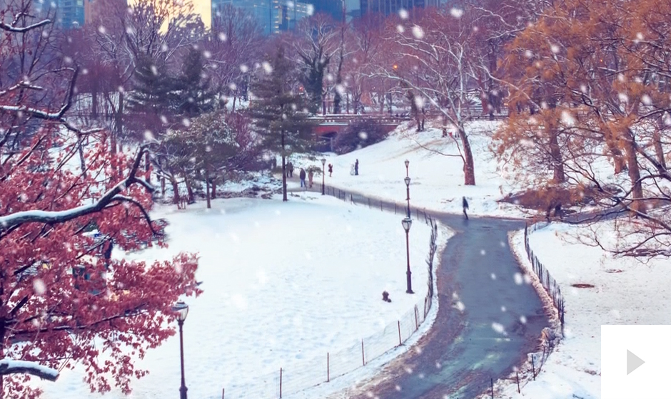 Park Grandeur