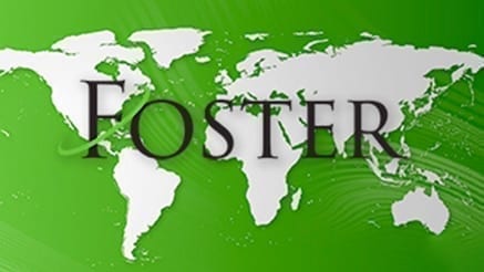 Foster (2016)
