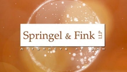 Springel & Fink (2016)