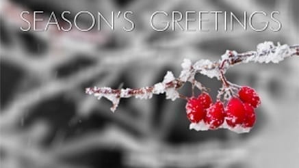 A Moment of Winter