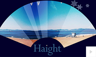 Haight 2016