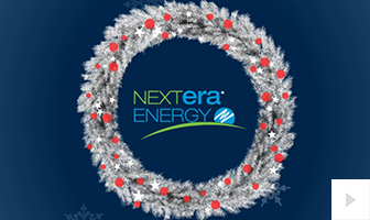 Nextera Energy 2016