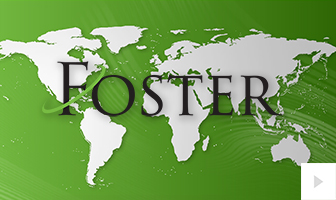 Foster 2016