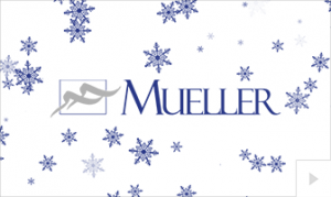 Mueller 2018