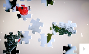 Holiday Puzzles