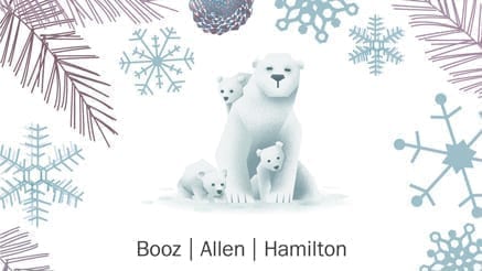 Booz Allen 3 (2017)