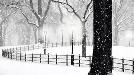 Park Lights corporate holiday ecard thumbnail