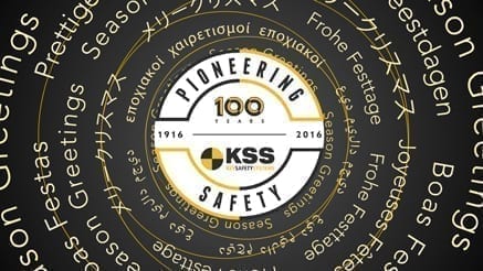Key Safety (2016)