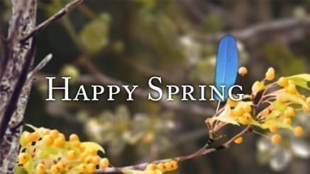 Spring 01