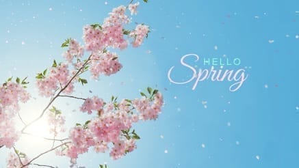 Spring 03