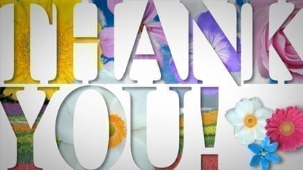 Thank You 13